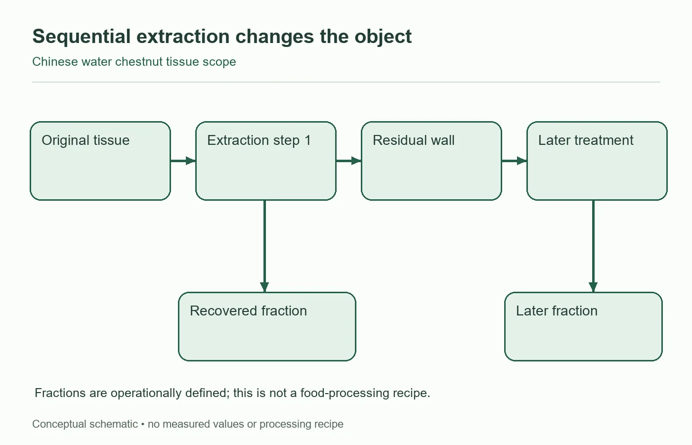 Sequential extractions define different recovered objects; no measured yield or food recipe is shown. Sequential extractions define different recovered objects; no measured yield or food recipe is shown.