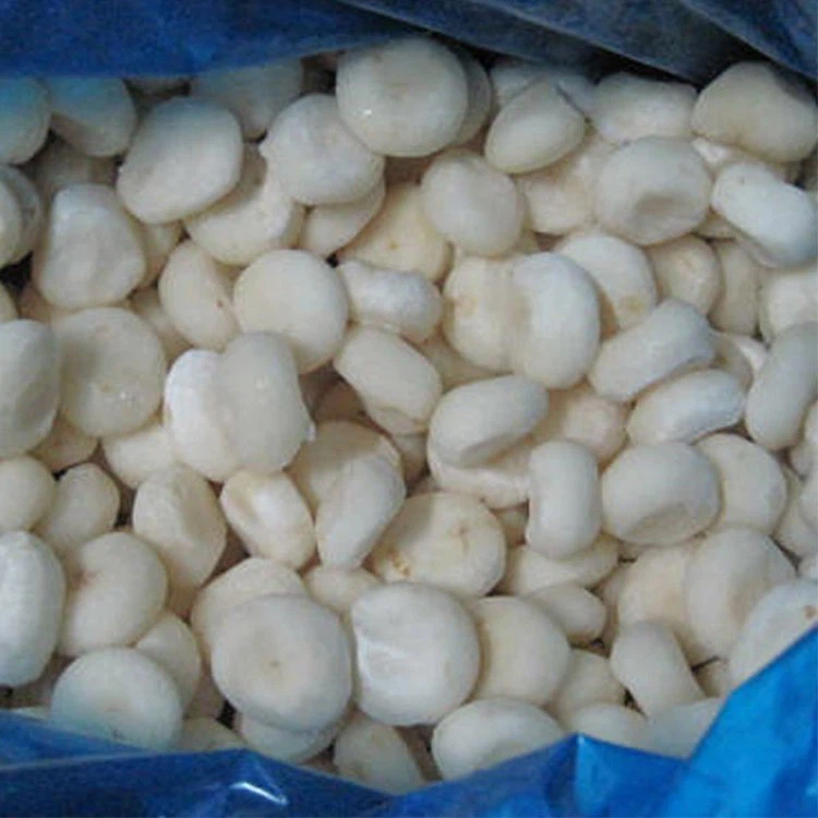 IQF Frozen Water Chestnut Factory