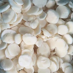 ชิ้นเกาลัดน้ำแช่แข็ง