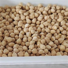 ถั่วชิกพีแห้งแช่แข็ง