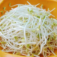 ถั่วงอกยาว